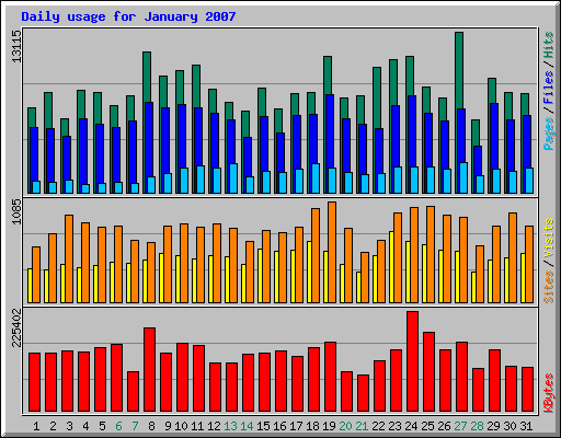 Daily usage for January 2007