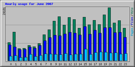Hourly usage for June 2007