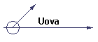 Uova